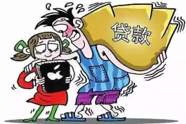 湛河为什么选择专业追讨公司来处理您的债务纠纷？