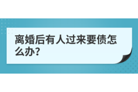 湛河专业讨债公司有哪些核心服务？