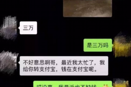 湛河如何避免债务纠纷？专业追讨公司教您应对之策